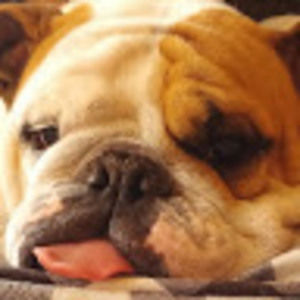 Meet your Posher, Caitlin